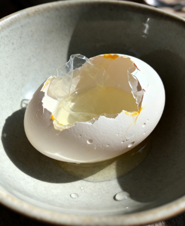 合規(guī)適配！雞蛋藥物殘留檢測(cè)儀符合國(guó)標(biāo)檢測(cè)標(biāo)準(zhǔn)