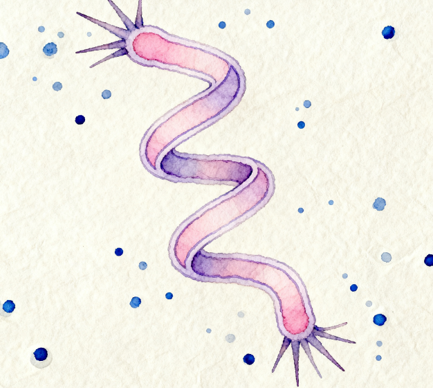 重磅發(fā)布！LD-ATP微生物細菌檢測儀升級 3.5 英寸觸摸屏，檢測效率再翻倍